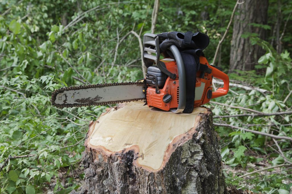 Norwalk Tree Service Pros - Stump Grinding 1